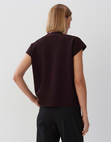 Takato plum