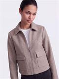 taupe gray