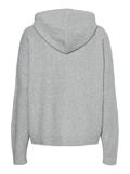 TH FLEX HOODIE SWEATER light grey heather