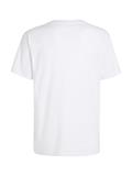 TJM CLSC CENTER POP FLAG TEE white