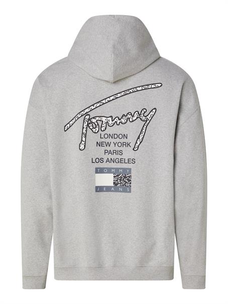 TJM OVZ AOP BACK HOODIE silver grey htr