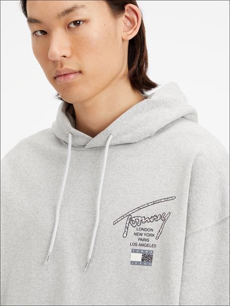 TJM OVZ AOP BACK HOODIE silver grey htr