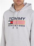 TJM REG ATHLETIC LOGO HOODIE silver grey htr