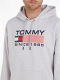 TJM REG ATHLETIC LOGO HOODIE silver grey htr