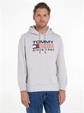 TJM REG ATHLETIC LOGO HOODIE silver grey htr