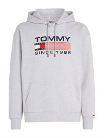 TJM REG ATHLETIC LOGO HOODIE silver grey htr