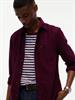 TJM REG BABY CORDUROY SHIRT EXT calypso berry