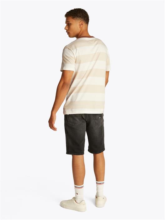 tjm-reg-bold-stripe-tee-newsprint-ecru