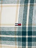 TJM REG CHECK FLANNEL SHIRT EXT ancient white check