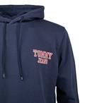 TJM REG ENTRY GRAPHIC HOODIE blau