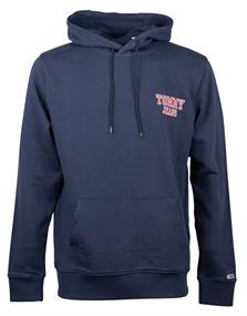 TJM REG ENTRY GRAPHIC HOODIE blau