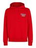TJM REG ENTRY GRAPHIC HOODIE deep crimson
