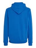 TJM REG ESNTL GRAPHIC HOOD EXT meridian blue