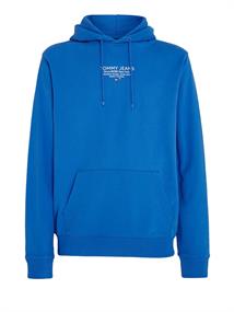TJM REG ESNTL GRAPHIC HOOD EXT meridian blue