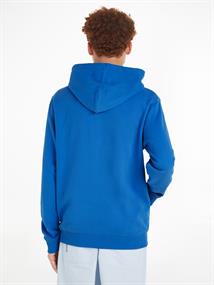 TJM REG ESNTL GRAPHIC HOOD EXT meridian blue