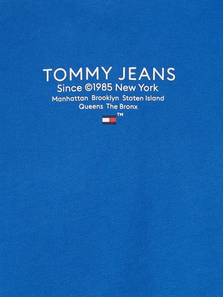 TJM REG ESNTL GRAPHIC HOOD EXT meridian blue