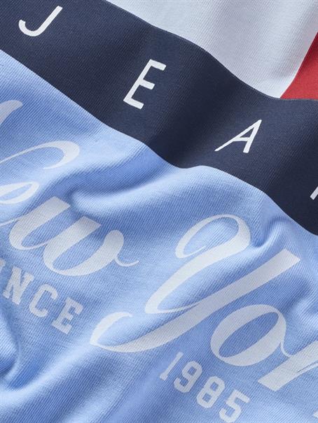 TJM REG HERITAGE FLAG TEE EXT sugarplum blue