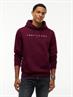 TJM REG LINEAR LOGO HOODIE EXT calypso berry