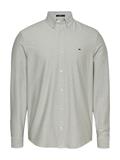 TJM REG OXFORD SHIRT EXT aruba green