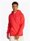 TJM REG S FLAG HOODIE EXT bright vermillion