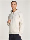 TJM REG S FLAG HOODIE EXT newsprint