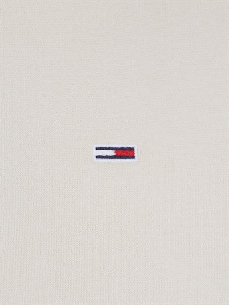 TJM REG S FLAG HOODIE EXT newsprint