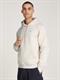 TJM REG S FLAG HOODIE EXT newsprint
