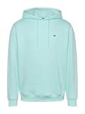 TJM REG S FLAG HOODIE EXT spring mint