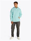 TJM REG S FLAG HOODIE EXT spring mint