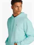 TJM REG S FLAG HOODIE EXT spring mint