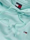 TJM REG S FLAG HOODIE EXT spring mint