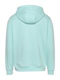 TJM REG S FLAG HOODIE EXT spring mint