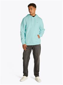 TJM REG S FLAG HOODIE EXT spring mint