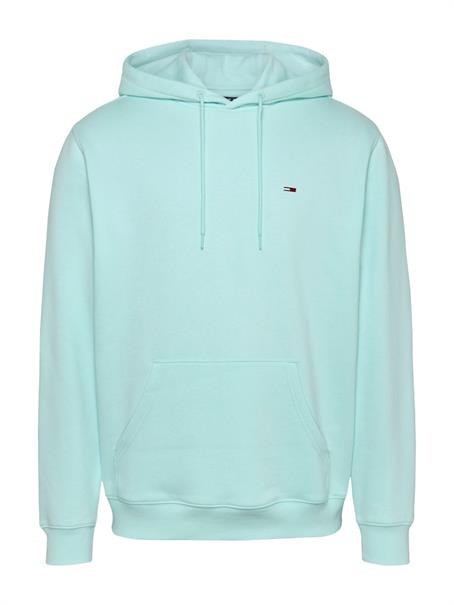 TJM REG S FLAG HOODIE EXT spring mint