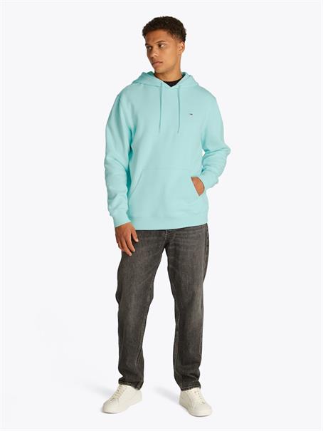 TJM REG S FLAG HOODIE EXT spring mint