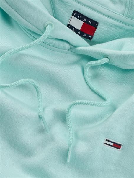TJM REG S FLAG HOODIE EXT spring mint