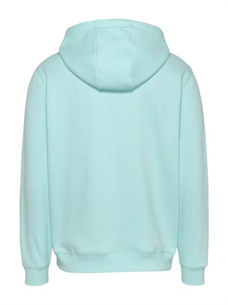 TJM REG S FLAG HOODIE EXT spring mint