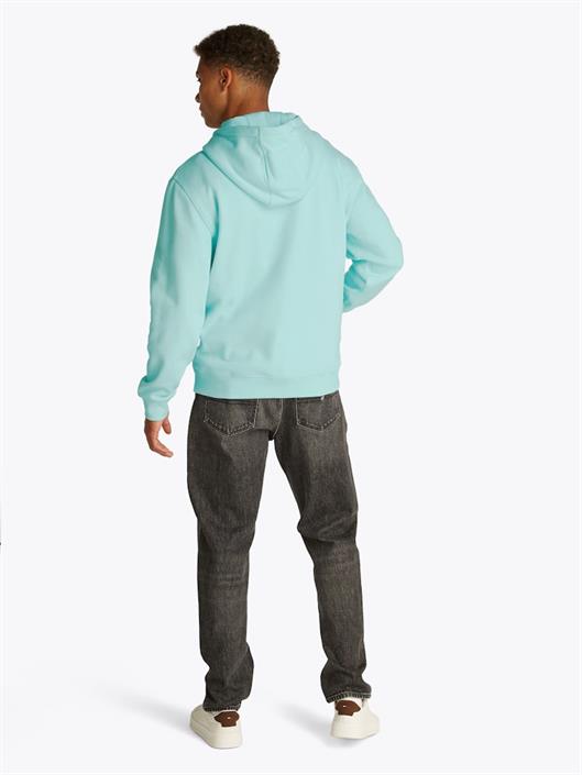 tjm-reg-s-flag-hoodie-ext-spring-mint