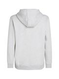 TJM REG S FLAG ZIP THRU silver grey heather