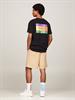 TJM REG SUMMER FLAG TEE EXT black