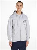 TJM REG TOMMY SPRAY PAINT HOODIE silver grey