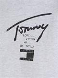 TJM REG TOMMY SPRAY PAINT HOODIE silver grey