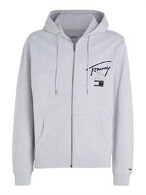 TJM REG TOMMY SPRAY PAINT HOODIE silver grey