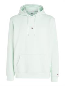 TJM REG TONAL LINEAR LOGO HOODIE minty