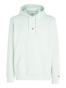 TJM REG TONAL LINEAR LOGO HOODIE minty