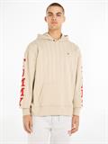 TJM RLX PINSTRIPE HOODIE beige