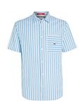 TJM RLX SS STRIPE LINEN SHIRT skysail - stripe