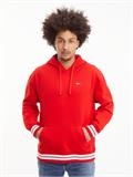 TJM RLXD COLLEGIATE HOODIE deep crimson