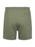 TJM S FLAG BEACH SHORT EXT aruba green