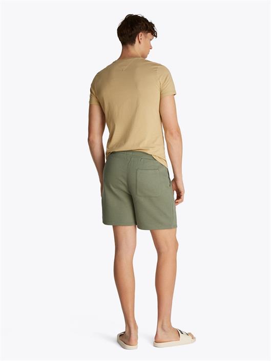 tjm-s-flag-beach-short-ext-aruba-green